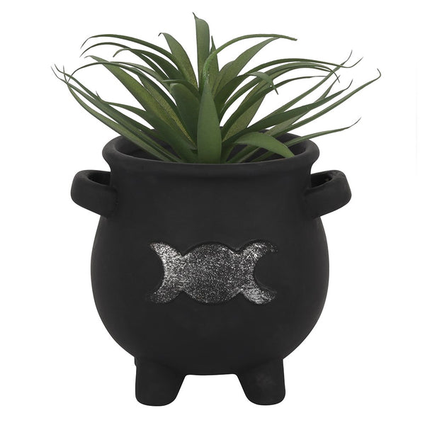 cauldron succulent Plant Pot