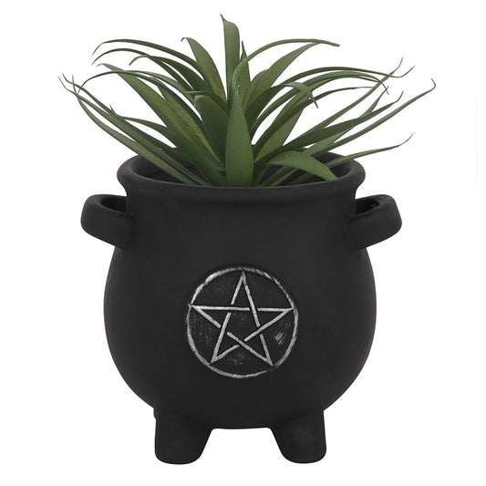 Plant Pot - Pentacle Cauldron
