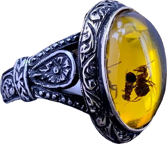 Ring - Amber Insect Ring (Stainless Steel)