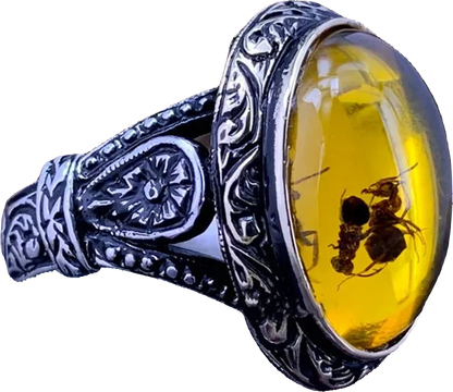 Ring - Amber Insect Ring (Stainless Steel)