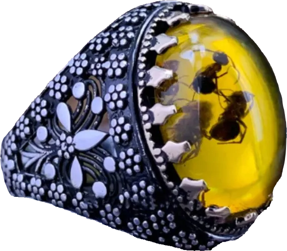 Ring - Amber Insect Ring (Stainless Steel)